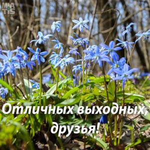 Почему свободные дни называются выходными? Не потому ли, что в эти дни можно выйти куда-то, кром