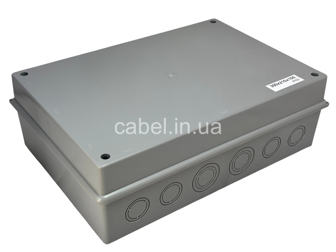 Коробка розподільча 300×210×100 мм герметична IP65 з гермовводами для зовнішнього монтажу